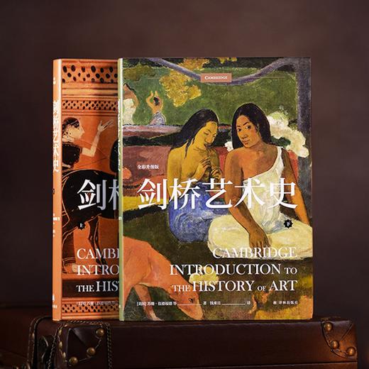 《剑桥艺术史》（上下册） 商品图1
