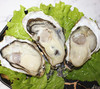【由于近期气温过高 为保证品质 只发山东省内订单】鲜美肥嫩 肉质爽滑 | 威海乳山冷水牡蛎贝类海鲜海产品生蚝 5斤/10斤装 京东快递【牡蛎煮的时候一定不要“过火”】 商品缩略图0