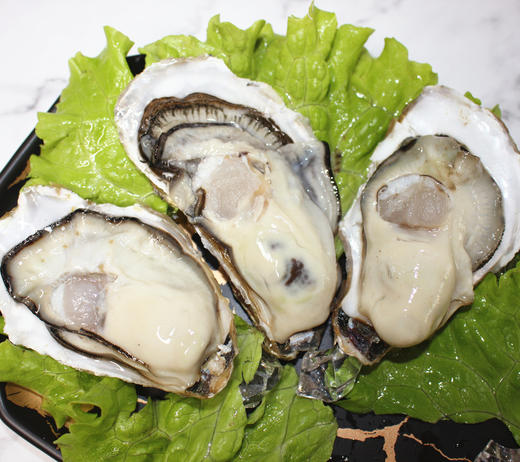 【由于近期气温过高 为保证品质 只发山东省内订单】鲜美肥嫩 肉质爽滑 | 威海乳山冷水牡蛎贝类海鲜海产品生蚝 5斤/10斤装 京东快递【牡蛎煮的时候一定不要“过火”】 商品图0
