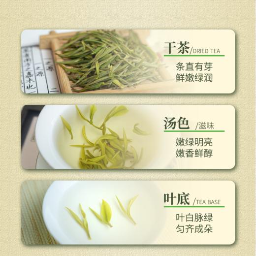安吉白茶2023年·湖畔居 商品图4