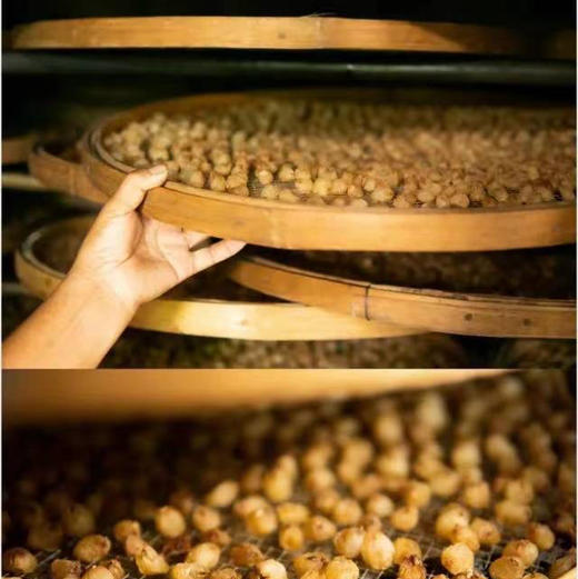 【古法手工制作桂圆肉】国家地理标志产品涂岭灯笼，特级鲜果龙眼 10斤龙眼肉＝1斤桂圆干 500g/罐 商品图8