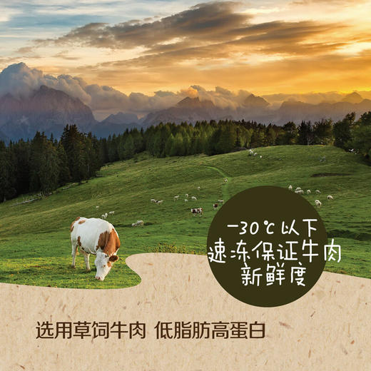 中粮安至选儿童牛排（原味）360g/袋 商品图7