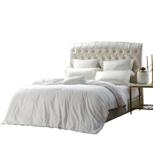 博洋雅蒂蚕丝被 商品图0