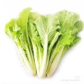 【超市】小白菜