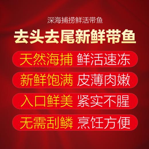 【东上御品】新鲜小眼带鱼鲜嫩深海带鱼段 中段 去头去尾 250g*8袋 商品图4