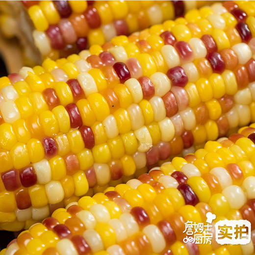 五彩鲜玉米｜非转基因 科学生态种植 糯甜比例堪称完美 颗粒饱满如珍珠 低脂低卡 富含膳食纤维 方便快手 冰鲜鲜玉米 商品图9
