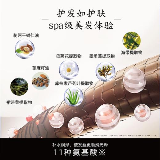 PHARMA 发玛21 护发精华乳 600ml 商品图5