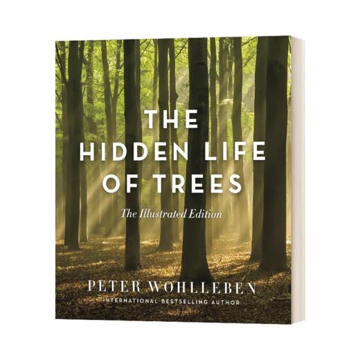 英文原版 The Hidden Life of Trees 树的秘密生命 精装插图版 英文版 进口英语原版书籍 商品图0