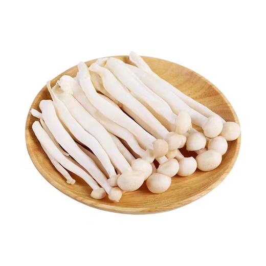 【超市】精品海鲜菇散 商品图0