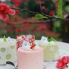 春日小组 Spring Quarters 商品缩略图1