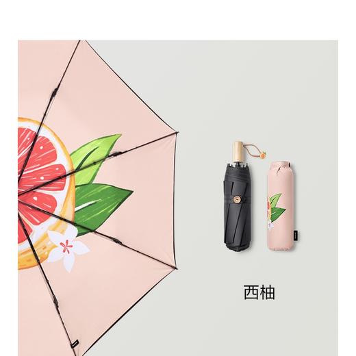 【一般贸易】蕉下 果趣太阳伞小巧便携遮阳伞防晒防紫外线雨伞女晴雨两用 商品图9