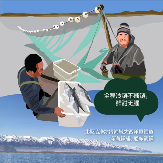 中粮（袋装）凌鲜大西洋鳕鱼柳250g 商品图3