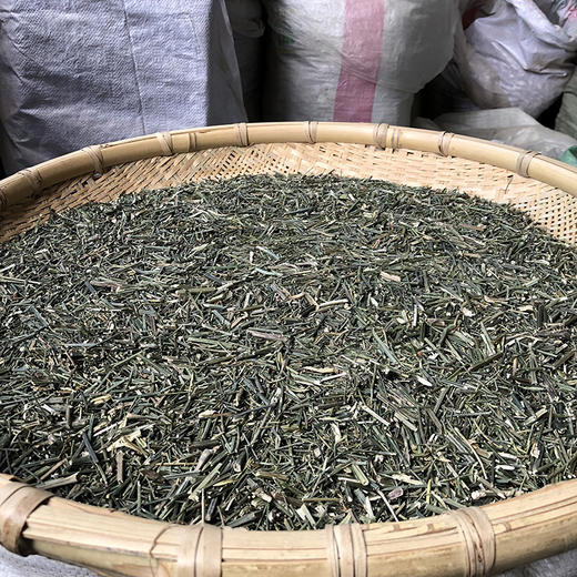 穿心莲 商品图1