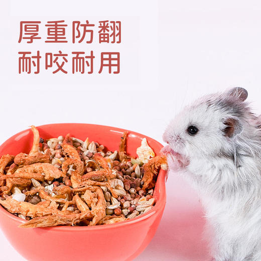 仓鼠小宠物卡通陶瓷碗喂食碗 食盆 零食碗 商品图2