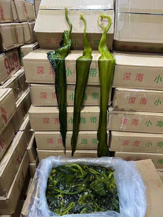 海带苗一箱（拼团） 商品图2