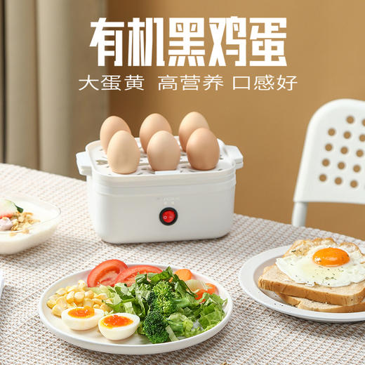 有机黑鸡蛋30枚 商品图0