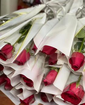 【一支玫瑰的浪漫】单枝红玫瑰【GY】