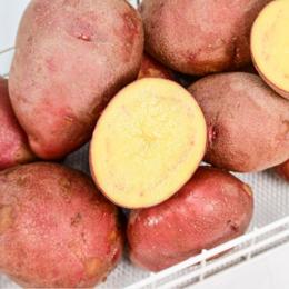 【云南红皮小土豆 5斤 】| 农家自种，更糯更面更香甜，皮薄肉黄，老人小孩吃得放心~