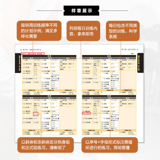 美国国家体能协会陆军战斗体能测试与训练指南 NSCA特种行业体能训练 商品图2