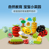 乐高积木10984 乐高得宝大颗粒系列有机菜园 商品缩略图2