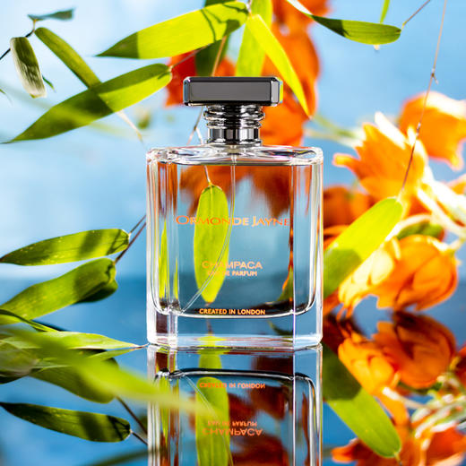 欧梦德·杰尼 黄兰花 Ormonde Jayne Champaca 分装 商品图0