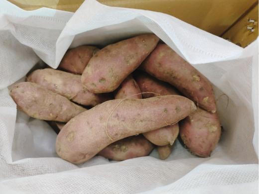 矮薯地瓜一箱（拼团） 商品图2