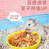 仓鼠小宠物卡通陶瓷碗喂食碗 食盆 零食碗 商品缩略图1