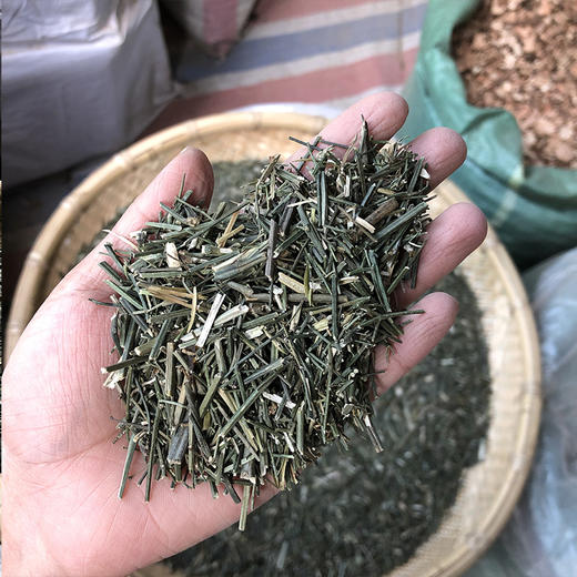 穿心莲 商品图3