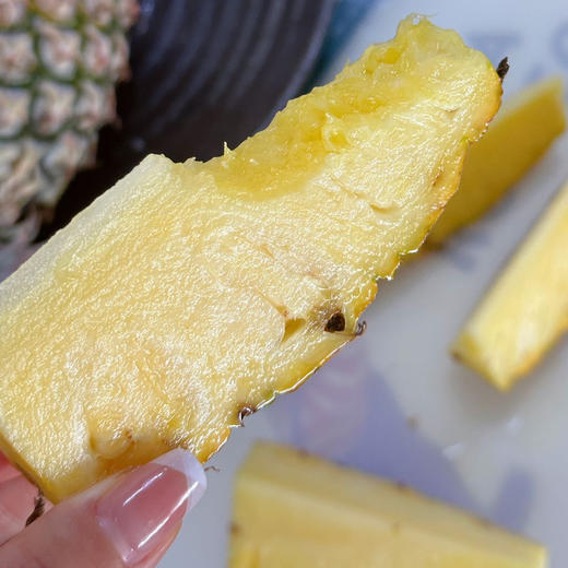 海南火焰山冬蜜凤梨顺丰快递包邮下单从三亚发货 商品图6