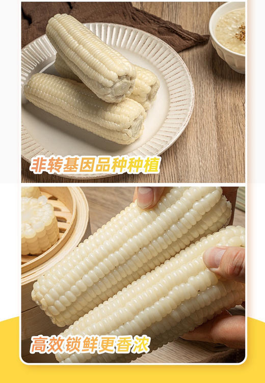 北纬47°白糯玉米鲜食200g*10根 1件装 商品图5
