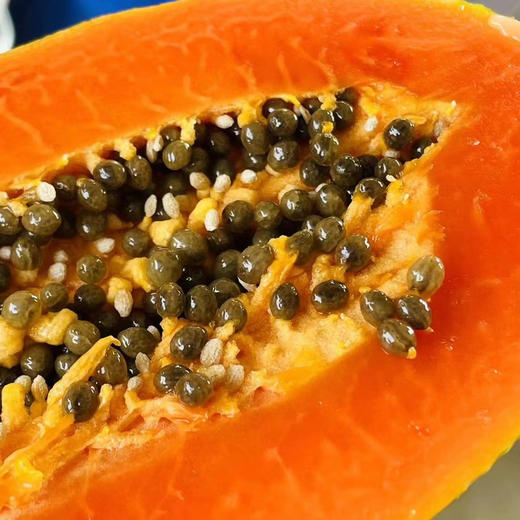 ＃冰糖牛奶木瓜＃非转基因，空运树上熟，拿到就能吃，口感完美香甜 商品图1