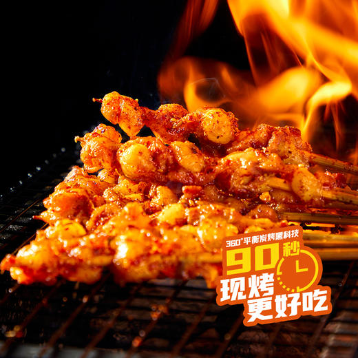 【东北外运】希波肉串烤串鸡脆骨烤串速冻家庭装开袋加热即食正宗东北烤串 商品图3