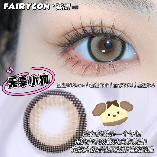 fairycon 无辜小狗 棕 14.5 年抛 含硅水凝胶 商品图1