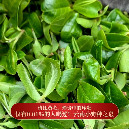 【猫耳朵】断货两年的稀缺王，今年出厂就炸场 ，重铸店铺猫耳朵荣光 商品图6