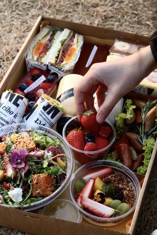 春游踏青野餐盒子 商品图1