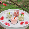 春日小组 Spring Quarters 商品缩略图2