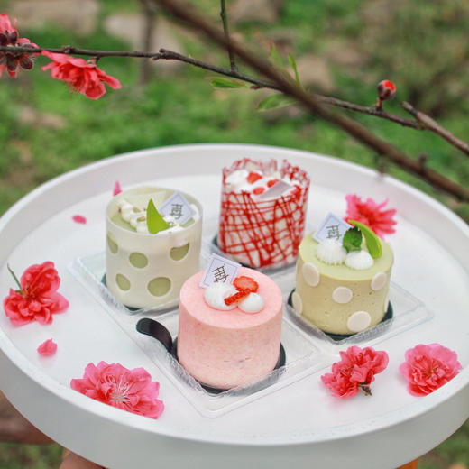 春日小组 Spring Quarters 商品图2