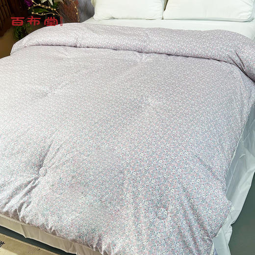 BBT香蜜蜜田园春秋被 商品图5