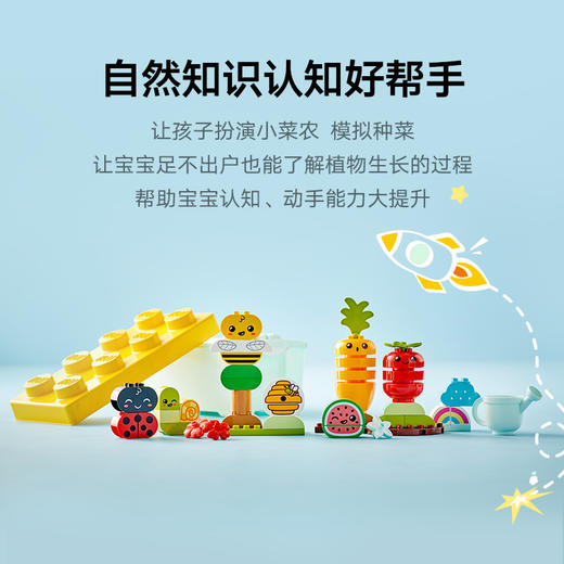 乐高积木10984 乐高得宝大颗粒系列有机菜园 商品图3