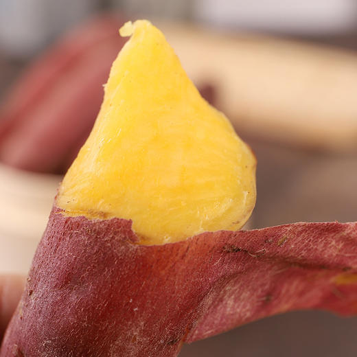 临安天目山小香薯地瓜3斤/5斤板栗金手指（原产地寄） 商品图5