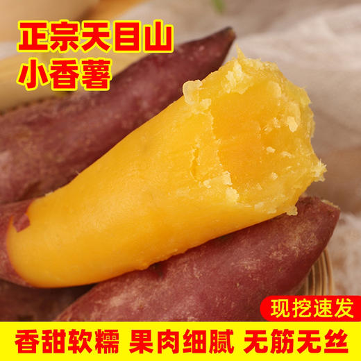 临安天目山小香薯地瓜3斤/5斤板栗金手指（原产地寄） 商品图1