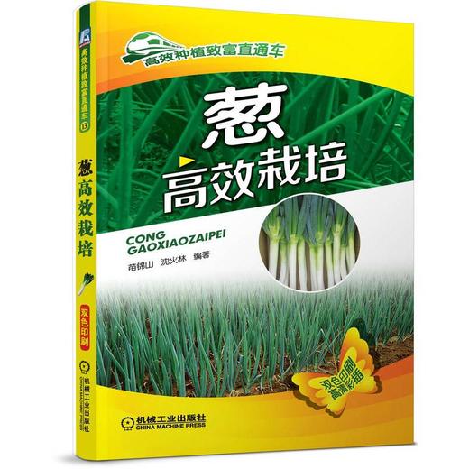 葱高效栽培 商品图0