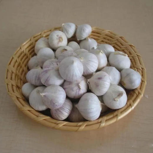 【超市】独蒜头 商品图0