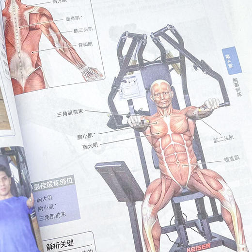 人体运动彩色解剖图谱 健身房器械健身 商品图4