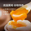 有机黑鸡蛋30枚 商品缩略图2