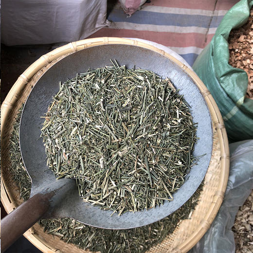 穿心莲 商品图4