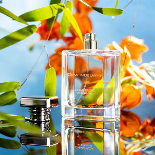 欧梦德·杰尼 黄兰花 Ormonde Jayne Champaca 分装 商品图3