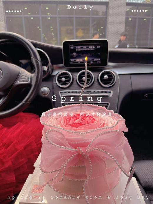 粉玫瑰 商品图5