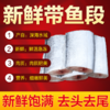 新鲜小眼带鱼鲜嫩深海带鱼段 中段 去头去尾 250g*8袋 商品缩略图3