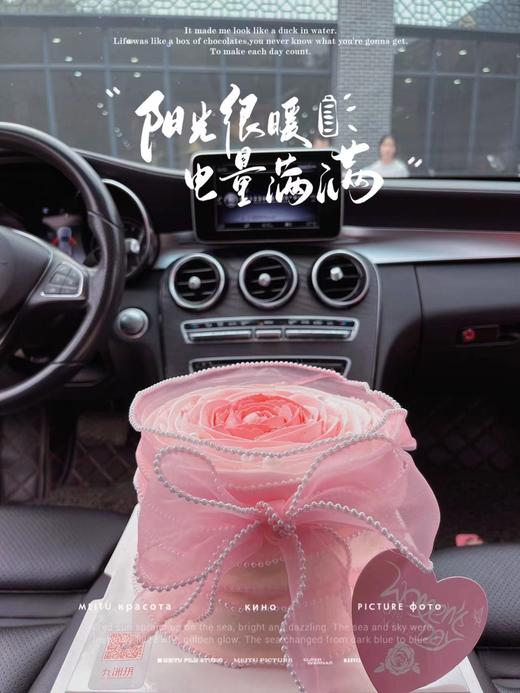 粉玫瑰 商品图0